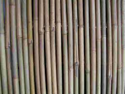 Manufacturers Exporters and Wholesale Suppliers of Bamboo Stick MUMBAI Maharashtra